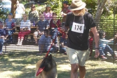 40677373_2585563361461193_559555842630746112_n